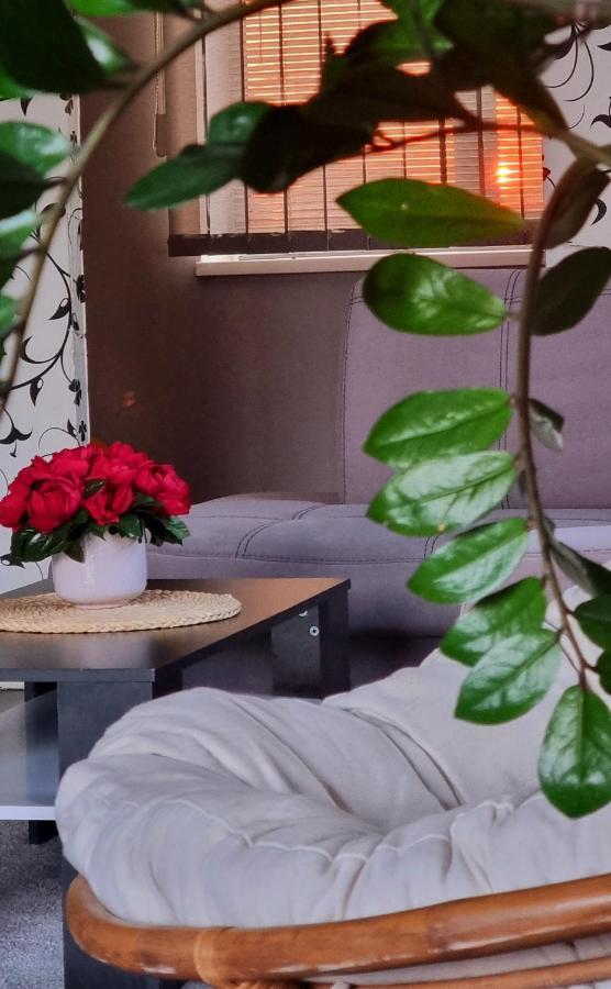 Sveciu Namai Kamile Villa Siauliai  Ngoại thất bức ảnh